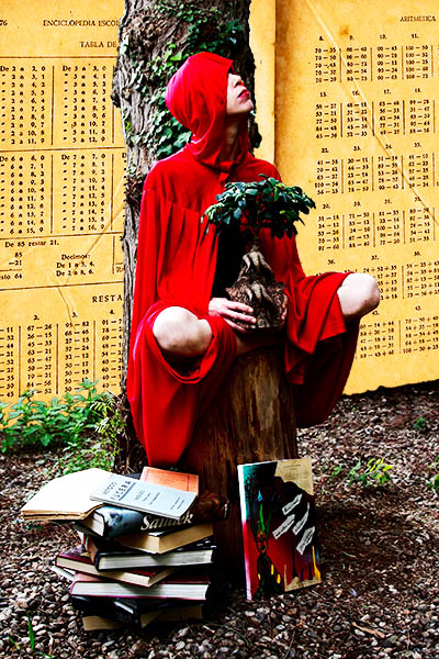 Mushroom 92 - Photo 6