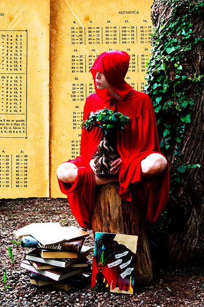 Mushroom 92 - Photo 3