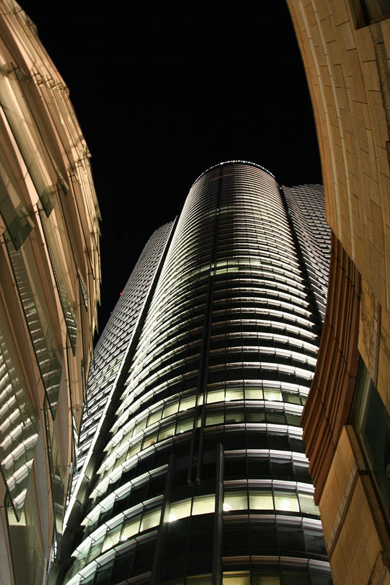 Mushroom 91 - Photo 8