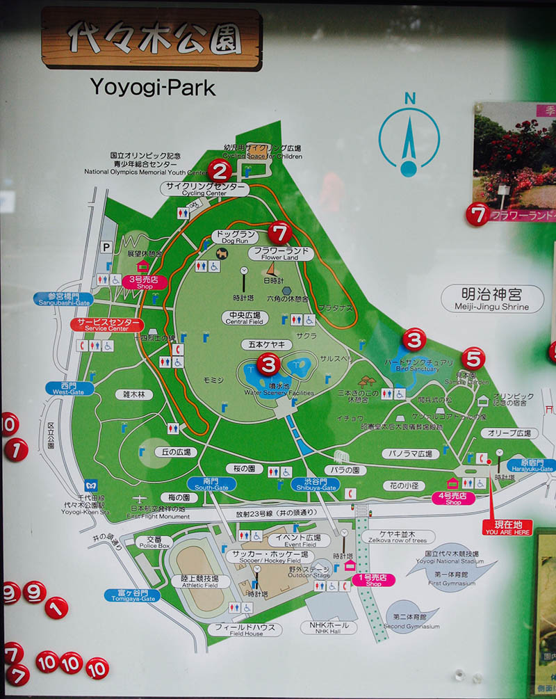 Mushroom 92 - Photo 5