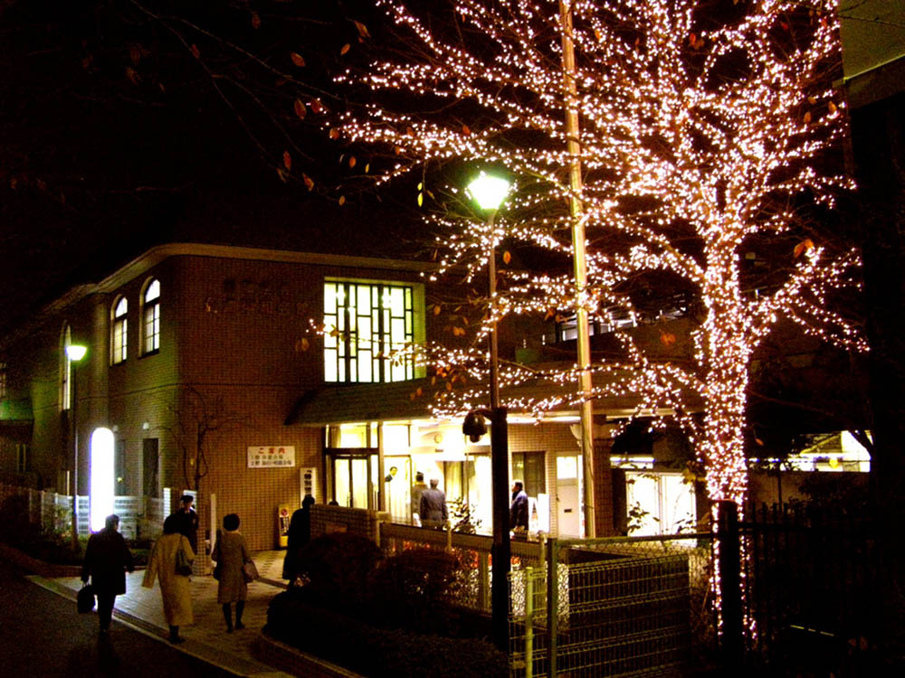 Mushroom 95 - Photo 7