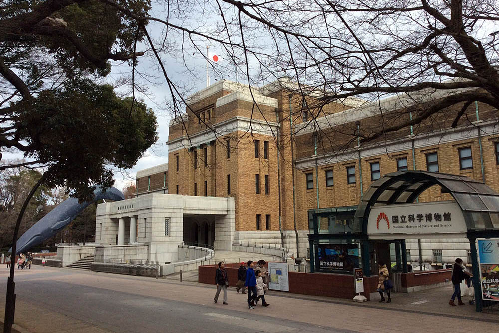 Mushroom 100 - Photo 6