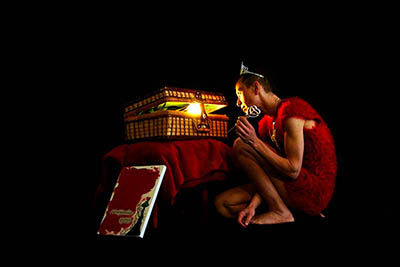 Mushroom 98 - Photo 4