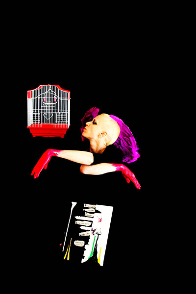 Mushroom 96 - Photo 5