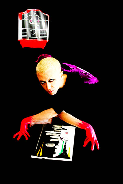 Mushroom 96 - Photo 2