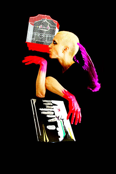 Mushroom 96 - Photo 4