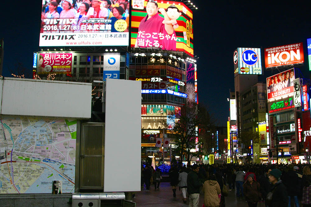 Mushroom 96 - Photo 6