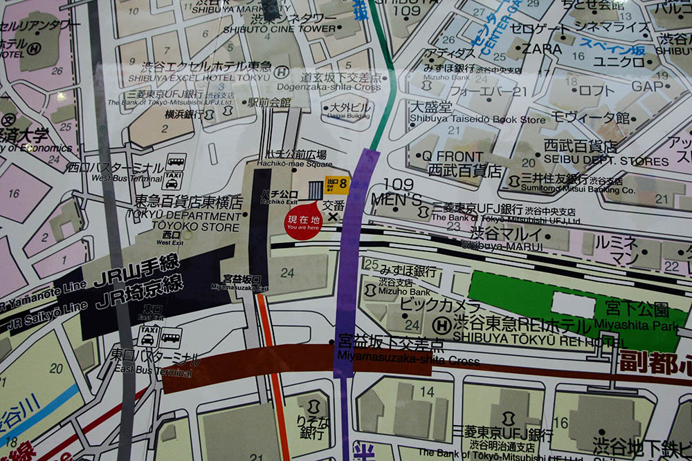 Mushroom 96 - Photo 3