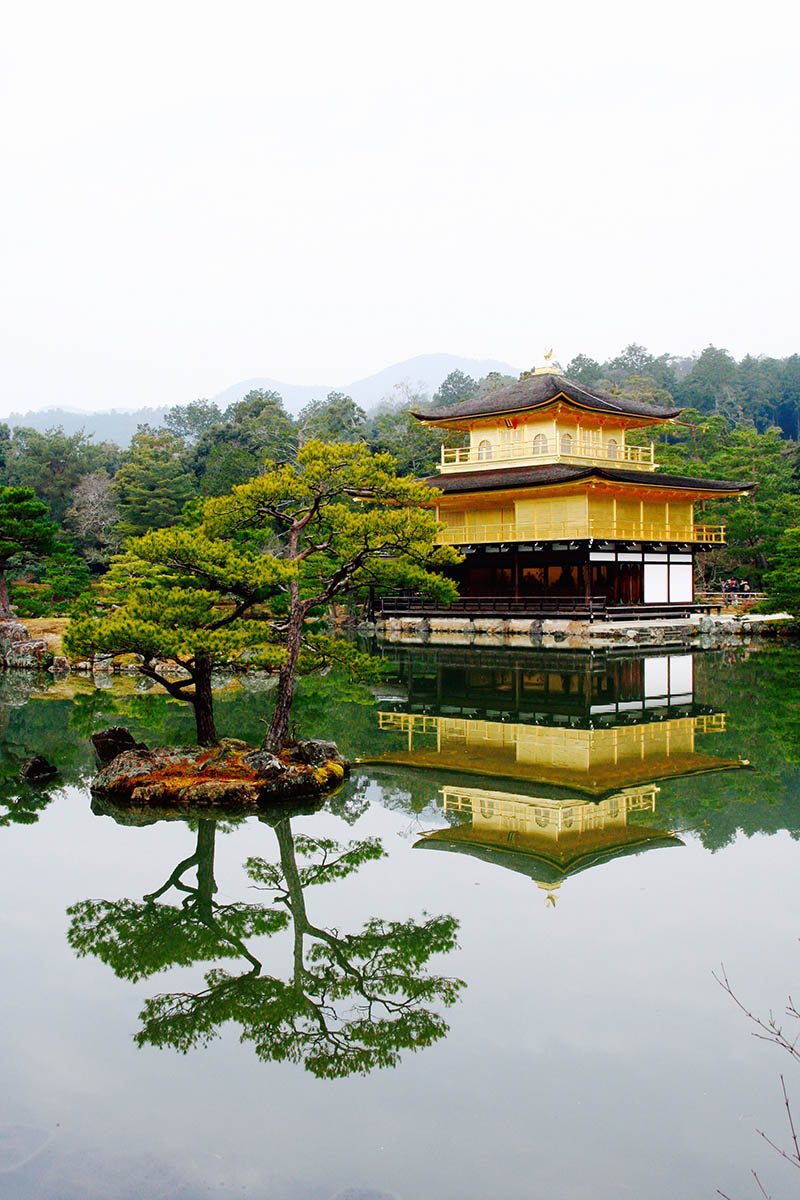 Mushroom 99 - Photo 6