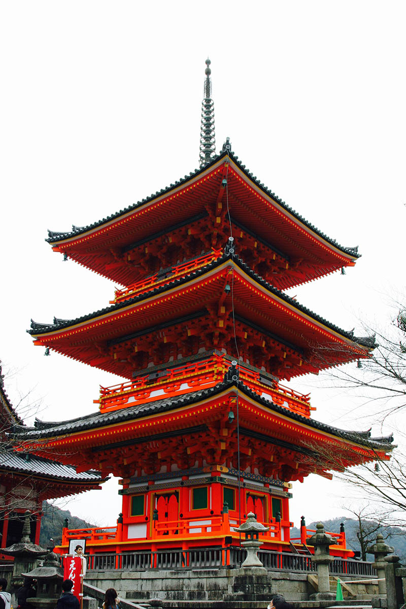 Mushroom 99 - Photo 4