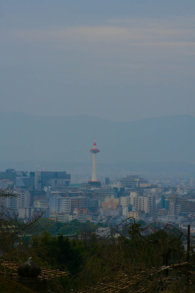 Mushroom 99 - Photo 5