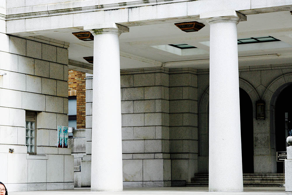 Mushroom 100 - Photo 3