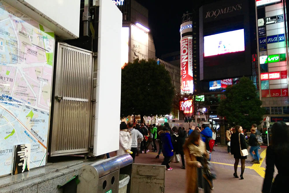 Mushroom 96 - Photo 7