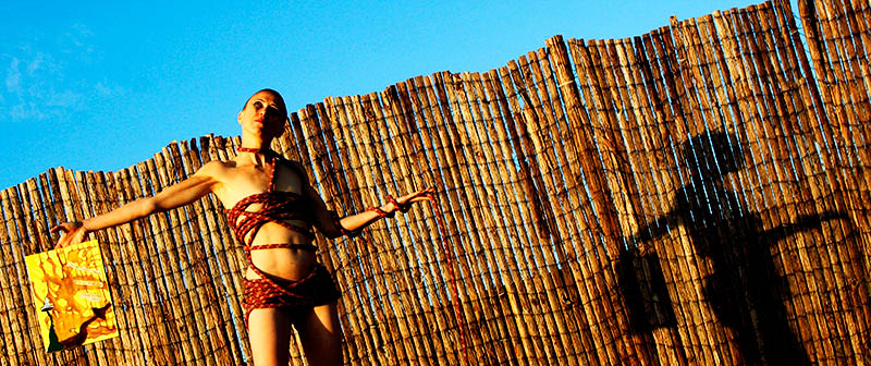 Mushroom 99 - Photo 3