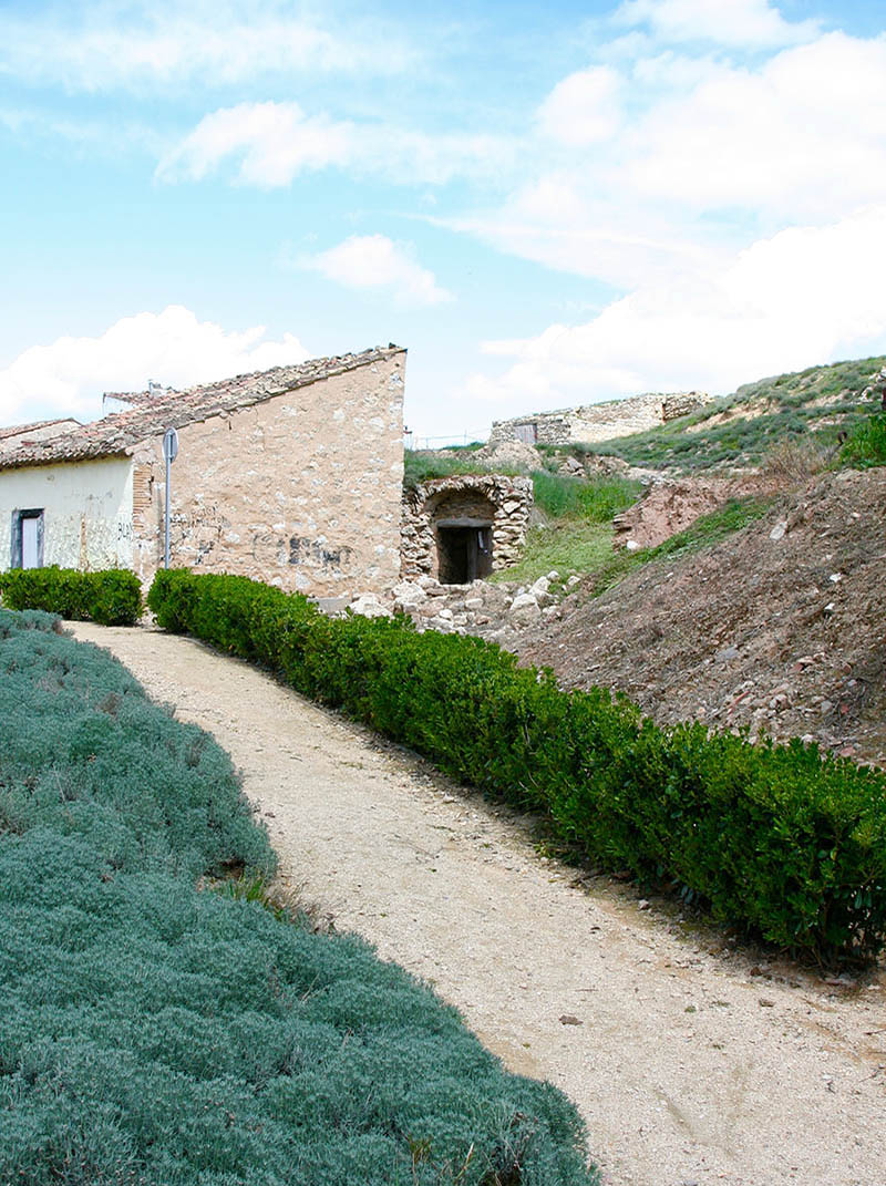 Mushroom 101 - Photo 5