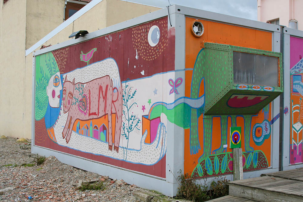 Mushroom 102 - Photo 5