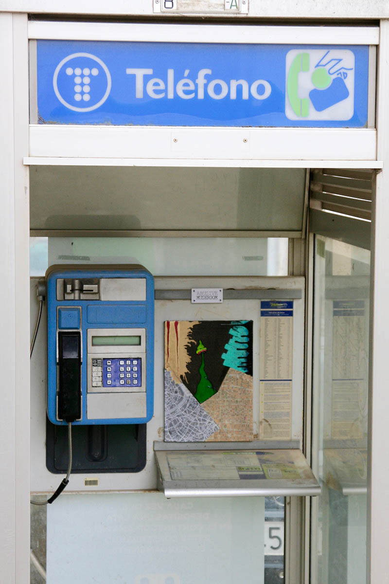 Mushroom 103 - Photo 3