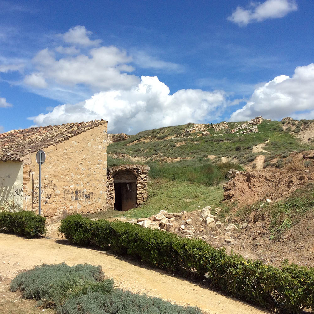 Mushroom 101 - Photo 2