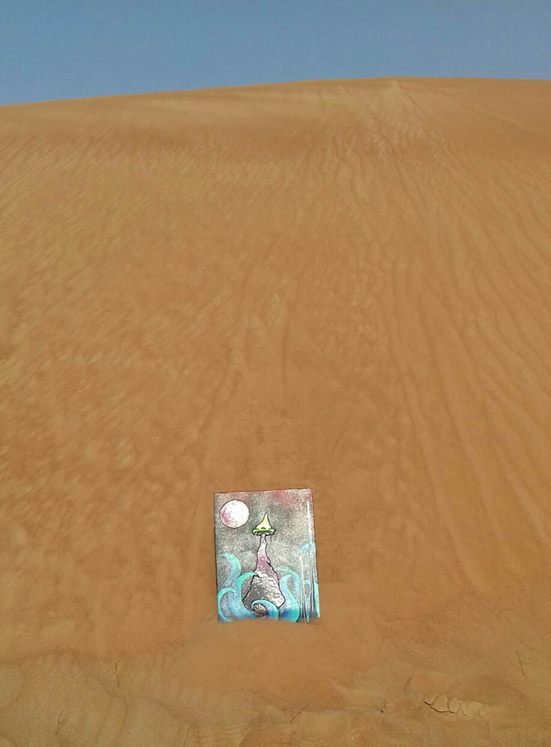 Mushroom 104 - Photo 3