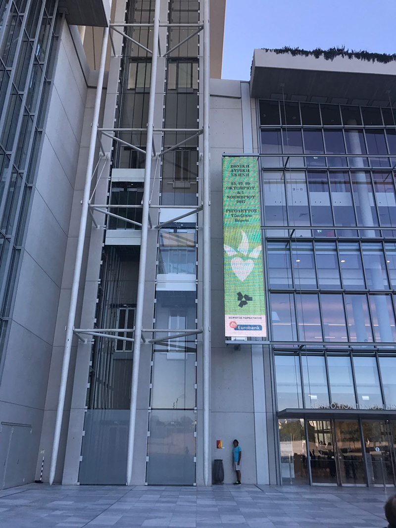 Mushroom 105 - Photo 8