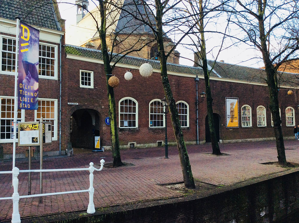 Mushroom 106 - Photo 4