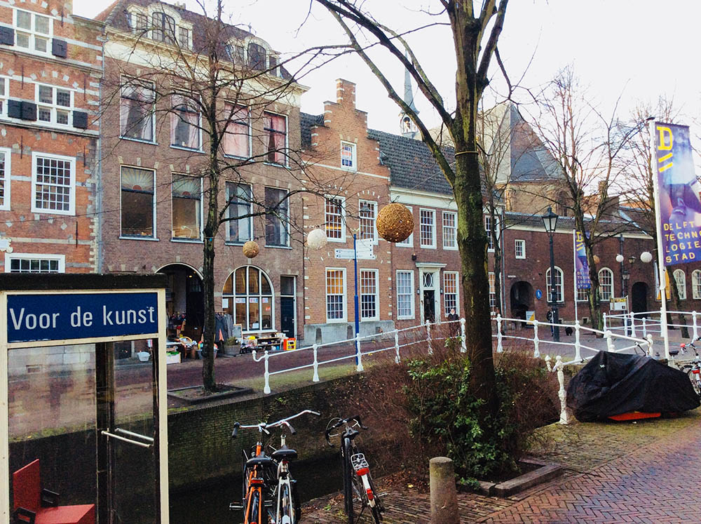 Mushroom 106 - Photo 2