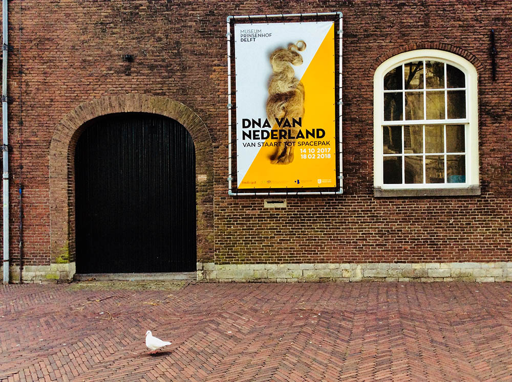 Mushroom 106 - Photo 5