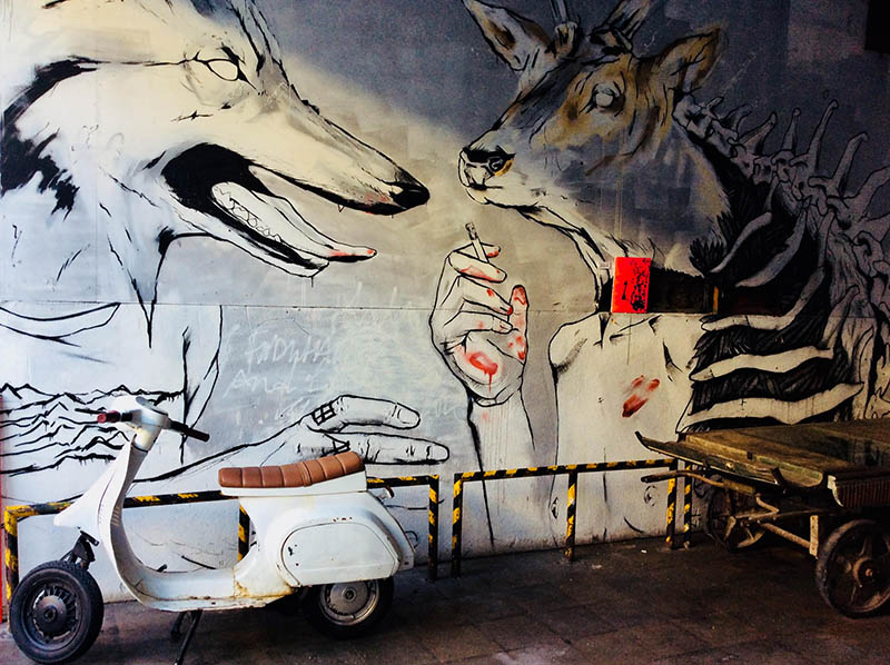 Mushroom 107 - Photo 4