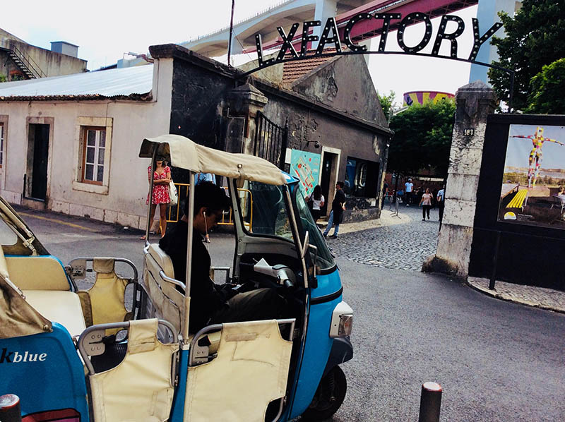 Mushroom 107 - Photo 6