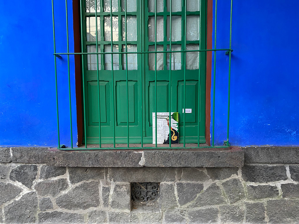 Mushroom 109 - Photo 7