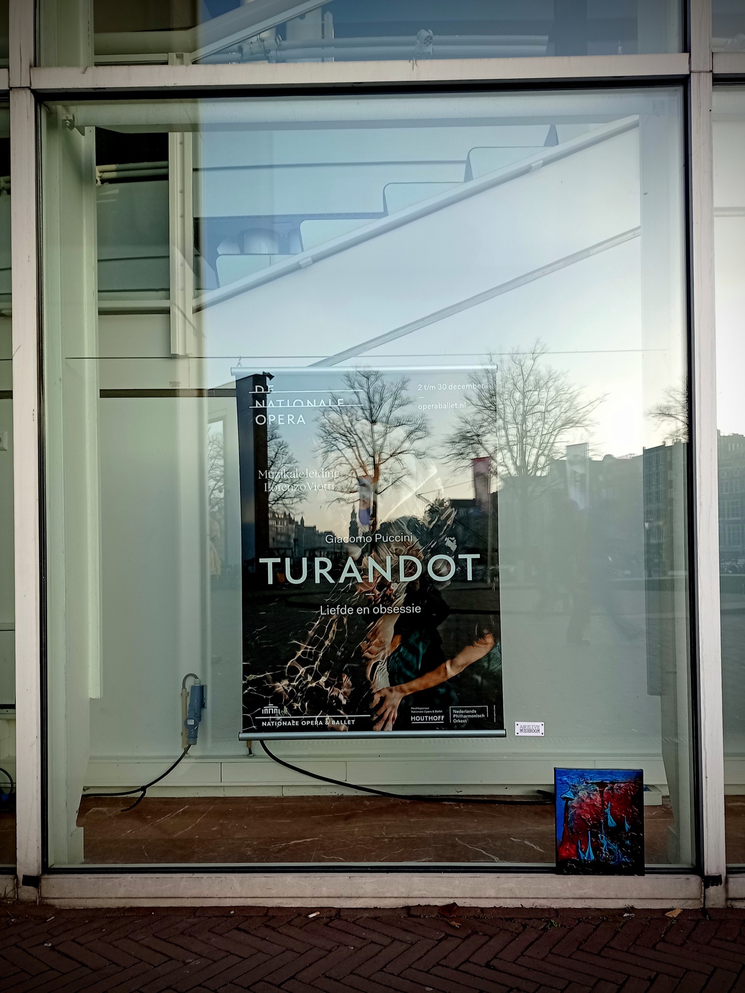 Mushroom 113 - Photo 6