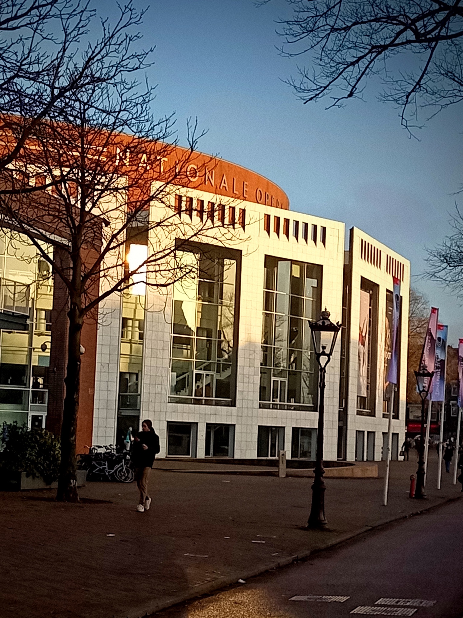 Mushroom 113 - Photo 5