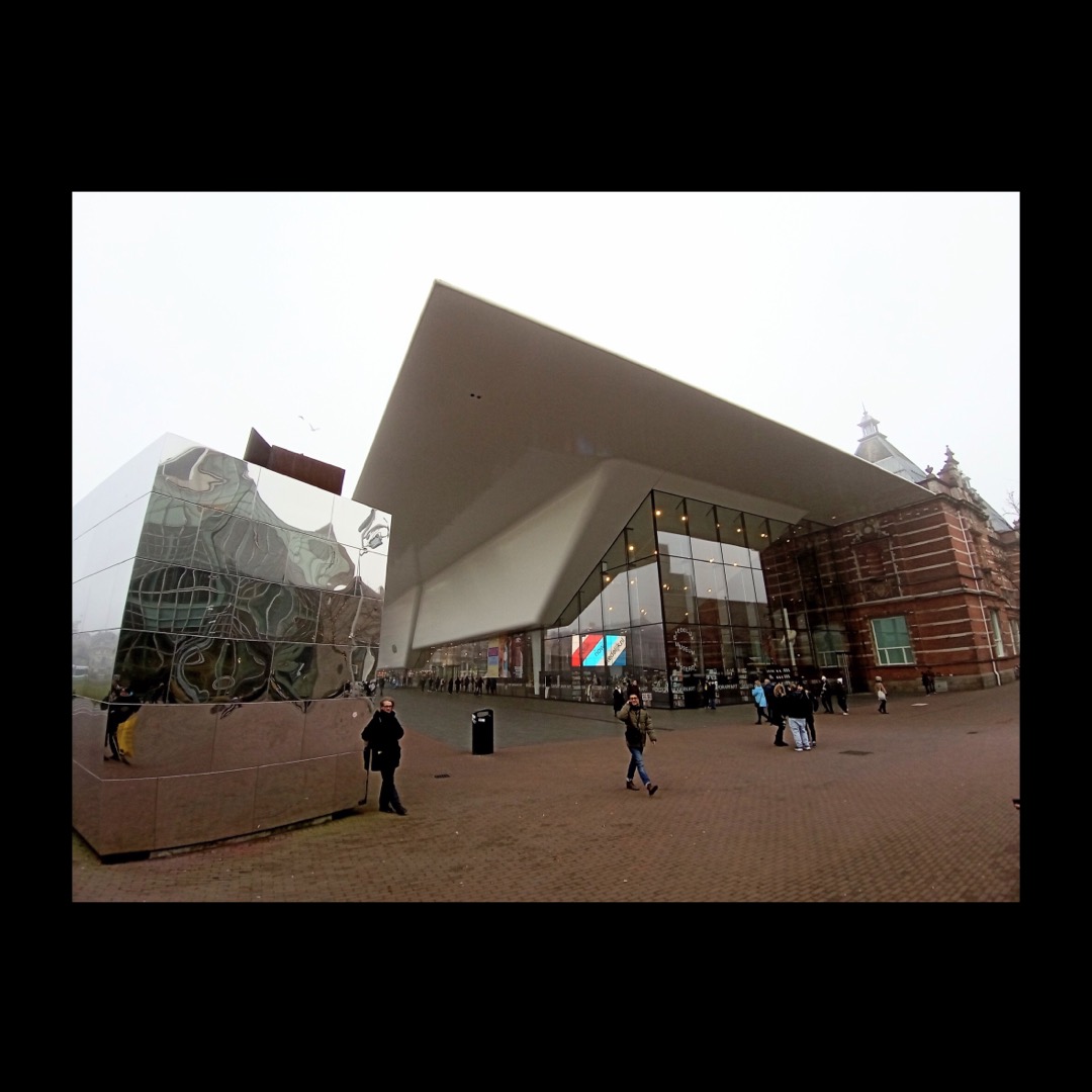 Mushroom 114 - Photo 6