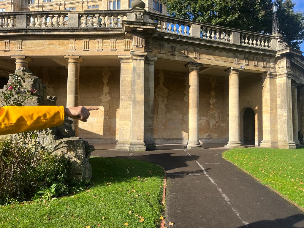 Mushroom 115 - Photo 8