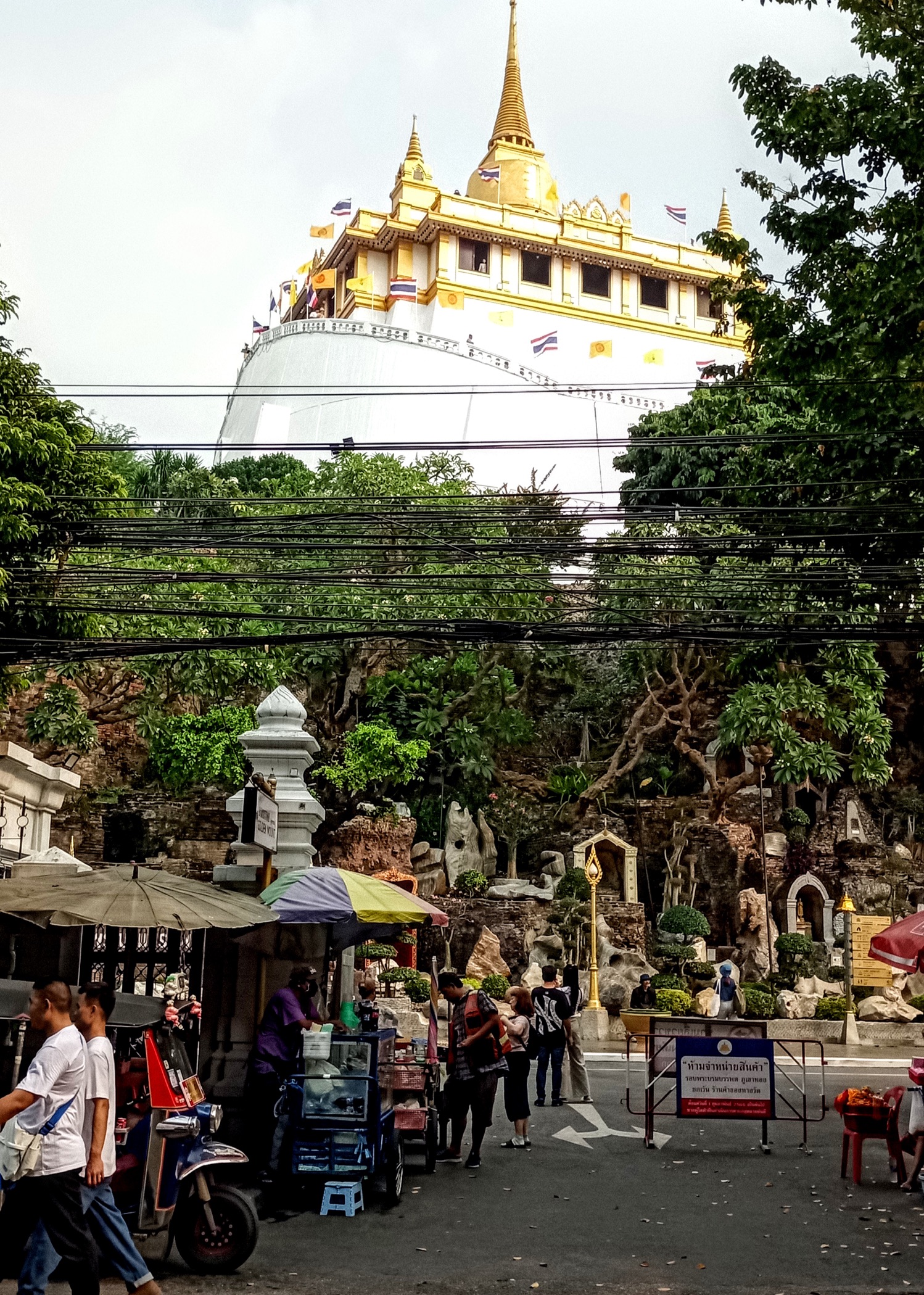 Mushroom 117 - Photo 6